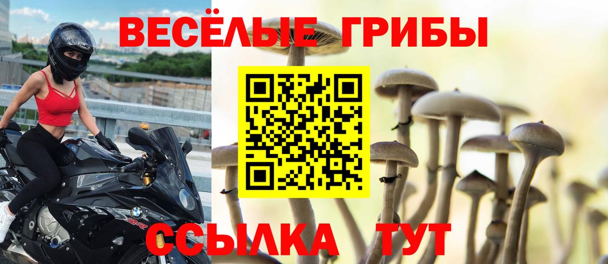 Галлюциногенные грибы ЛСД  что такое   Мурино  Вход с VPN 